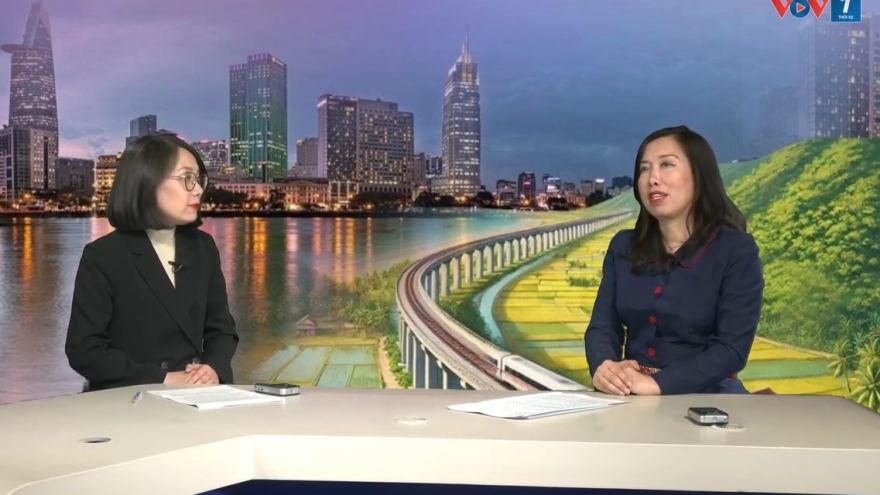 Vai trò đặc biệt của trí thức kiều bào trong kỷ nguyên mới của Việt Nam